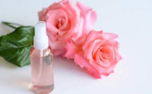 How to make rose water for hair at home 01