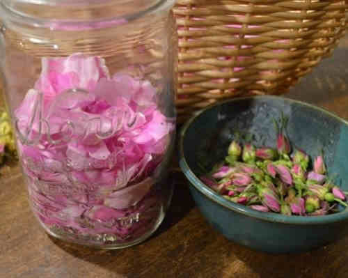 How to make rose water for hair at home 02